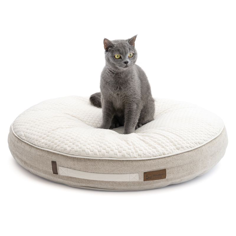 Modern Living Kuschelkissen Salvo zu TOP-Preisen