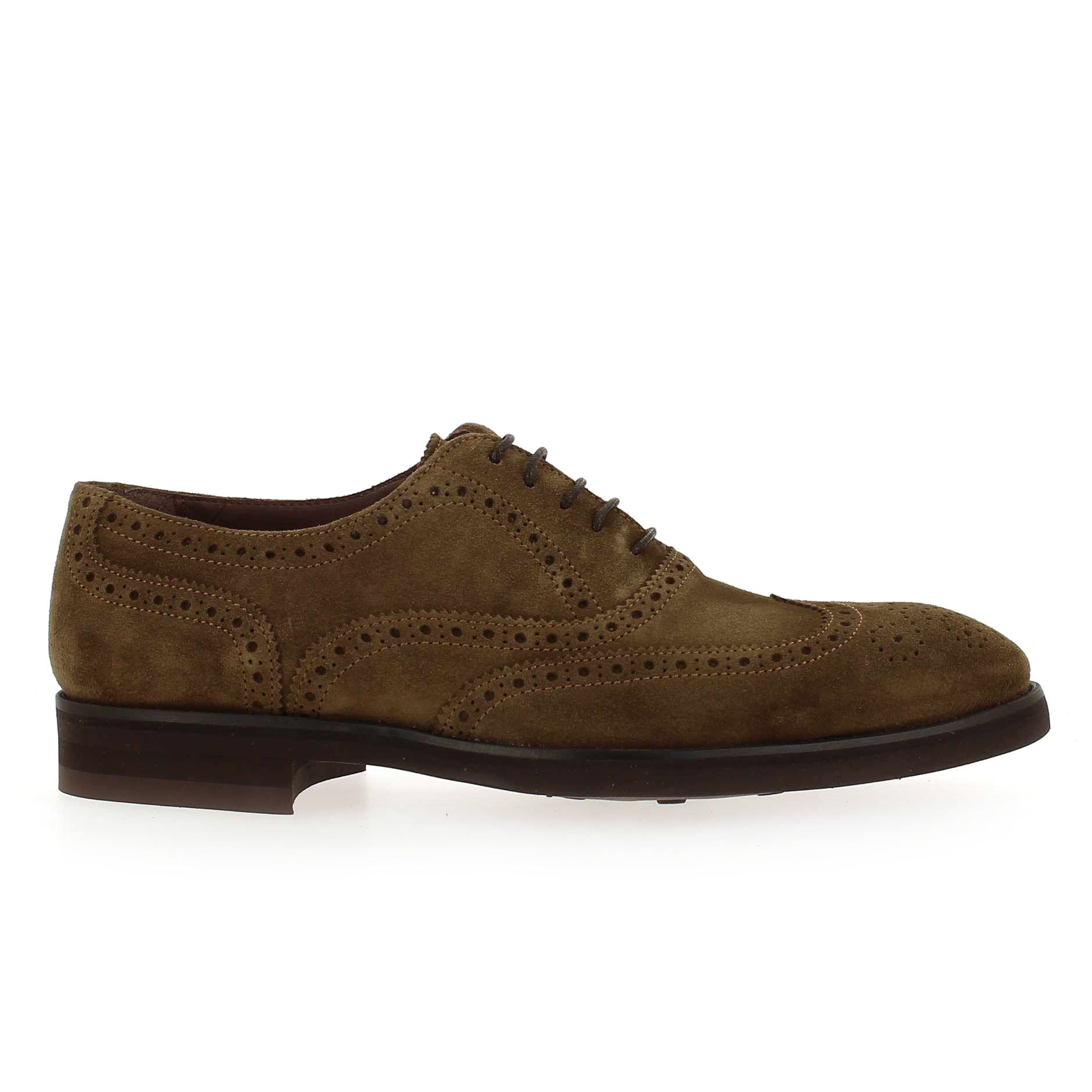 Paco Milan  3491 177 - marron