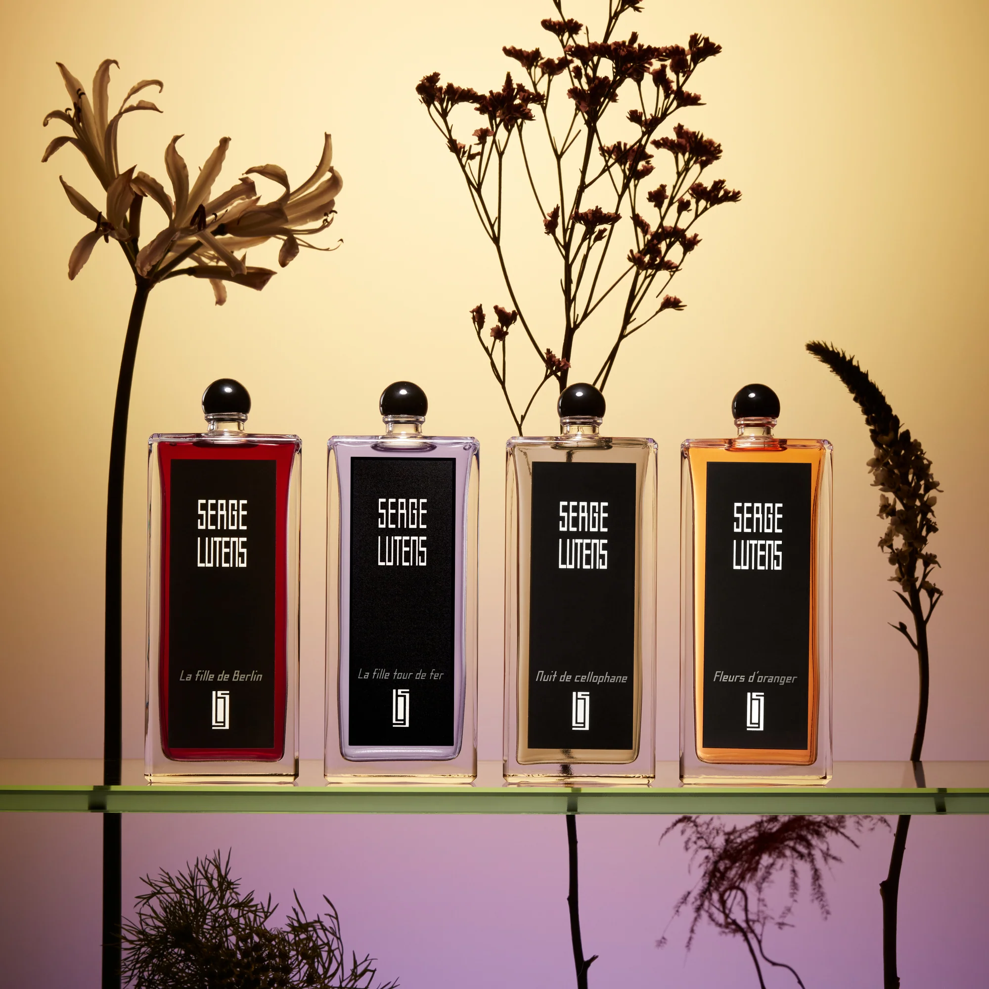 Colección Cellophane Night Black - Eau de Parfum, Eau de Parfum Unisex