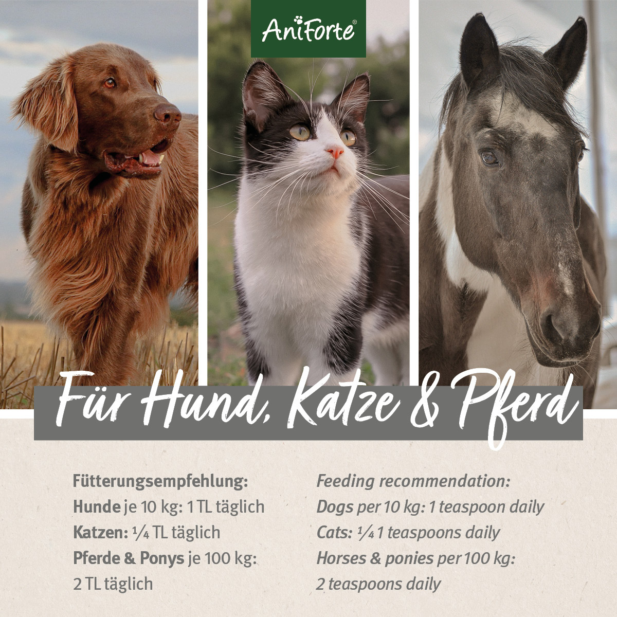 Aniforte Ergänzungsfutter & Aufzucht Aniforte Bio Hanföl 1 l