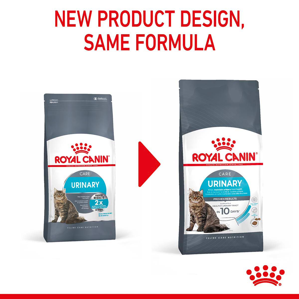 Royal Canin FCN Urinary Care günstig kaufen