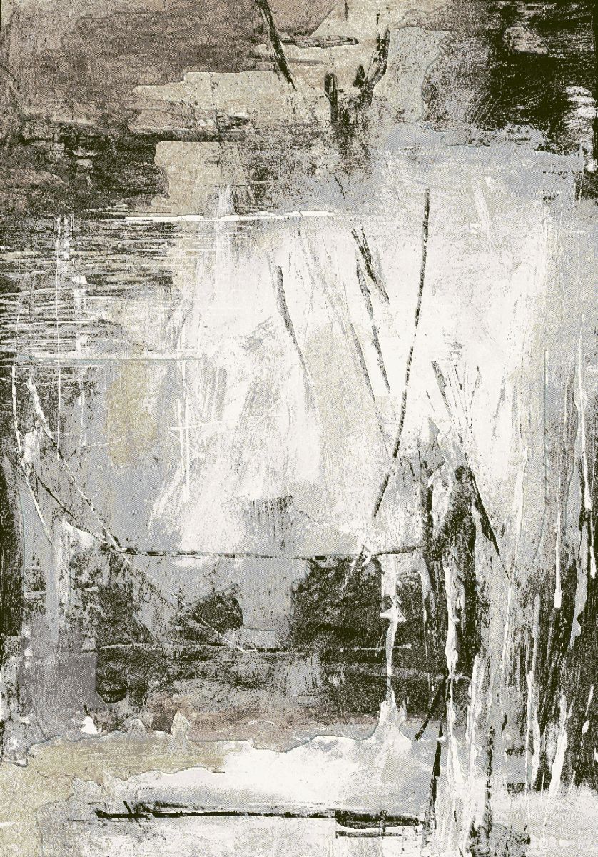 Webteppich Exellenza Kohlefarbe-Grau-Braun 160 x 230 cm
