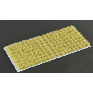 Beige 6mm Small