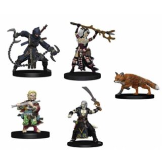 Pathfinder Battles HeroClix Pathfinder Iconic Heroes Box 6