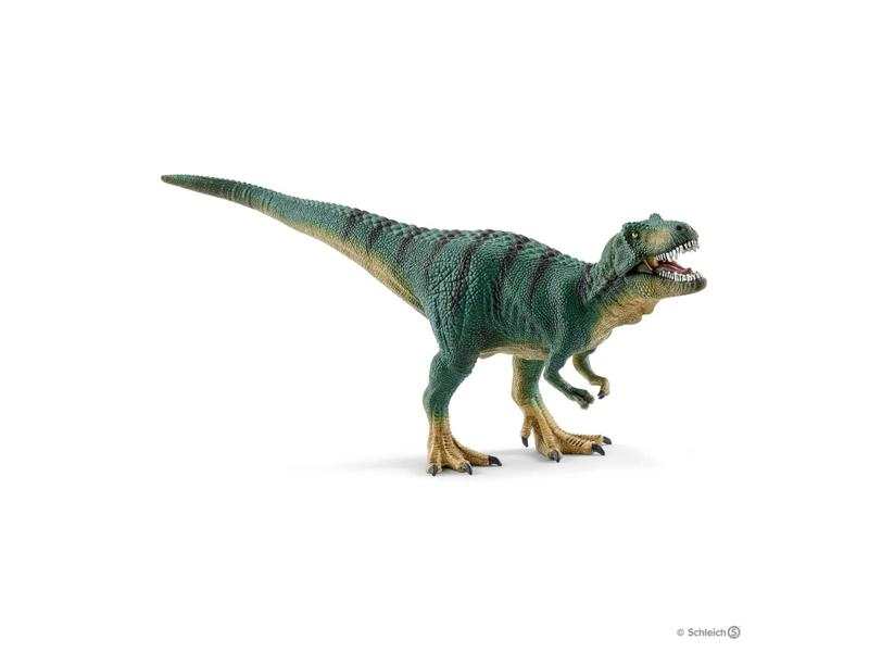 Jeune tyrannosaure Rex