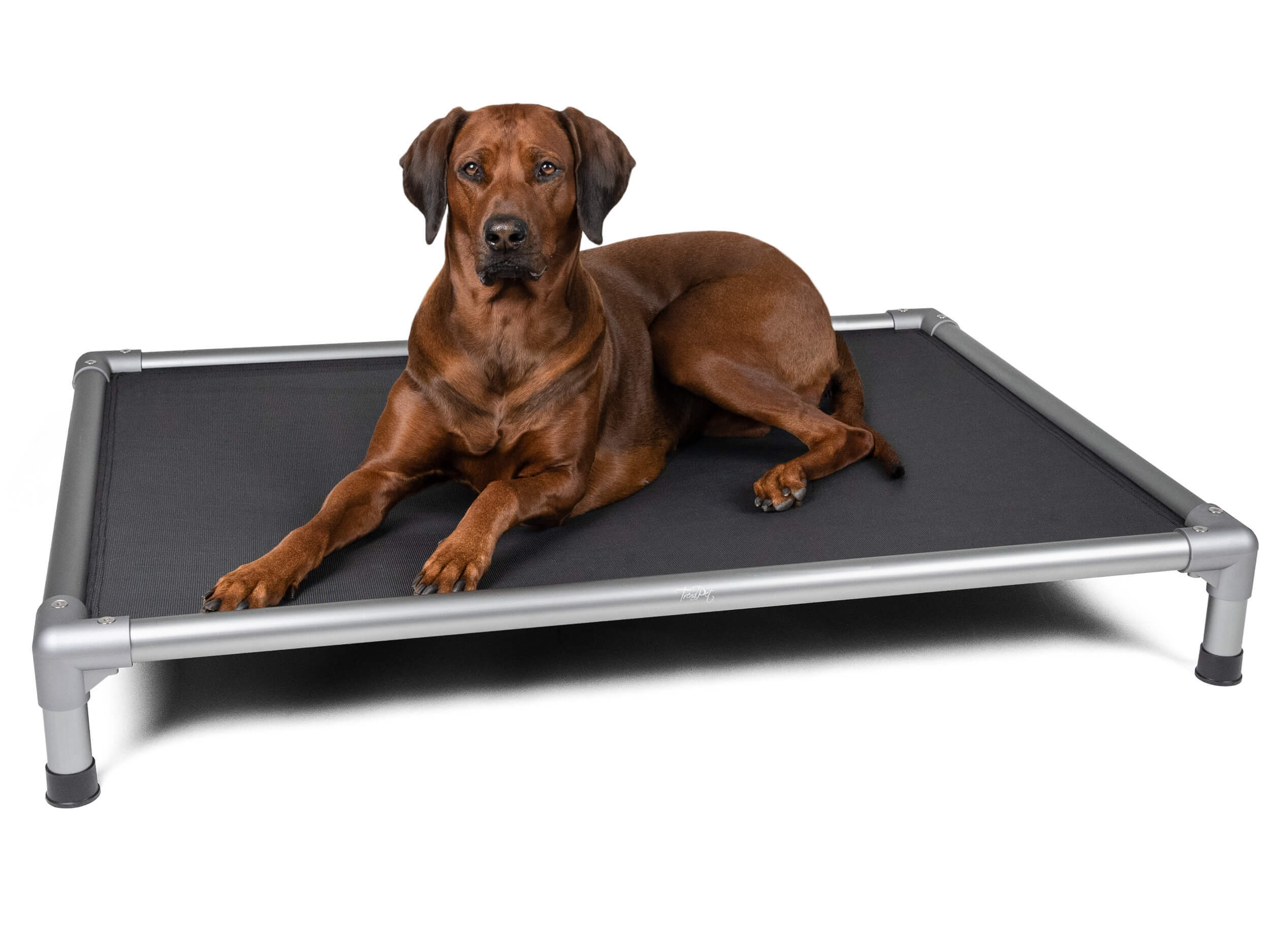 TrendPet Hundebetten TrendPet HighBed Hochbett für Hunde grau XL