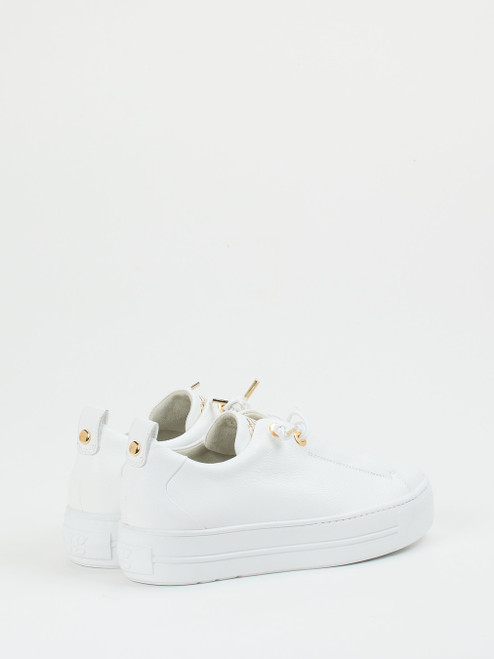 Sneaker-16637990234 Paul Green