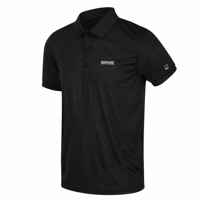 Regatta Remex II Poloshirt Herren