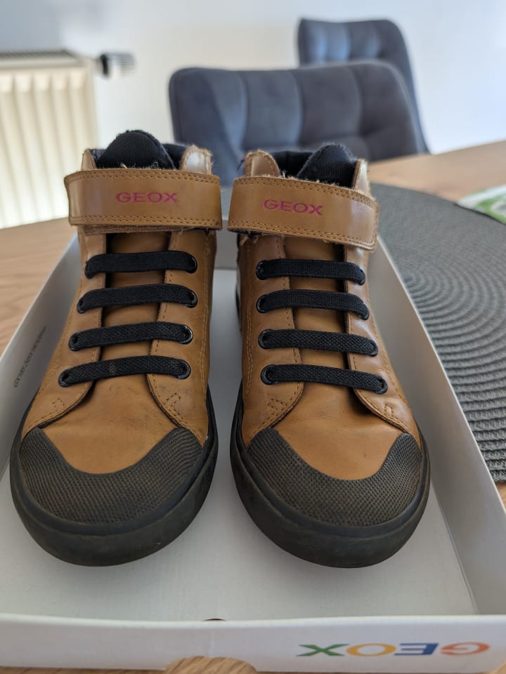 Geox Sneakers 