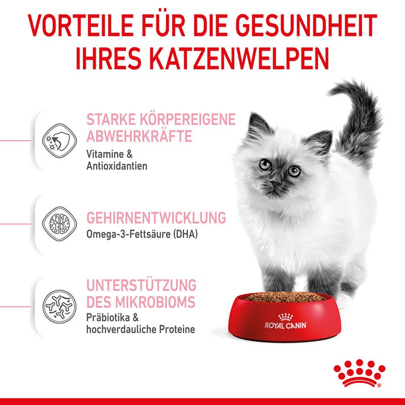 Royal Canin Kitten zu TOP-Preisen