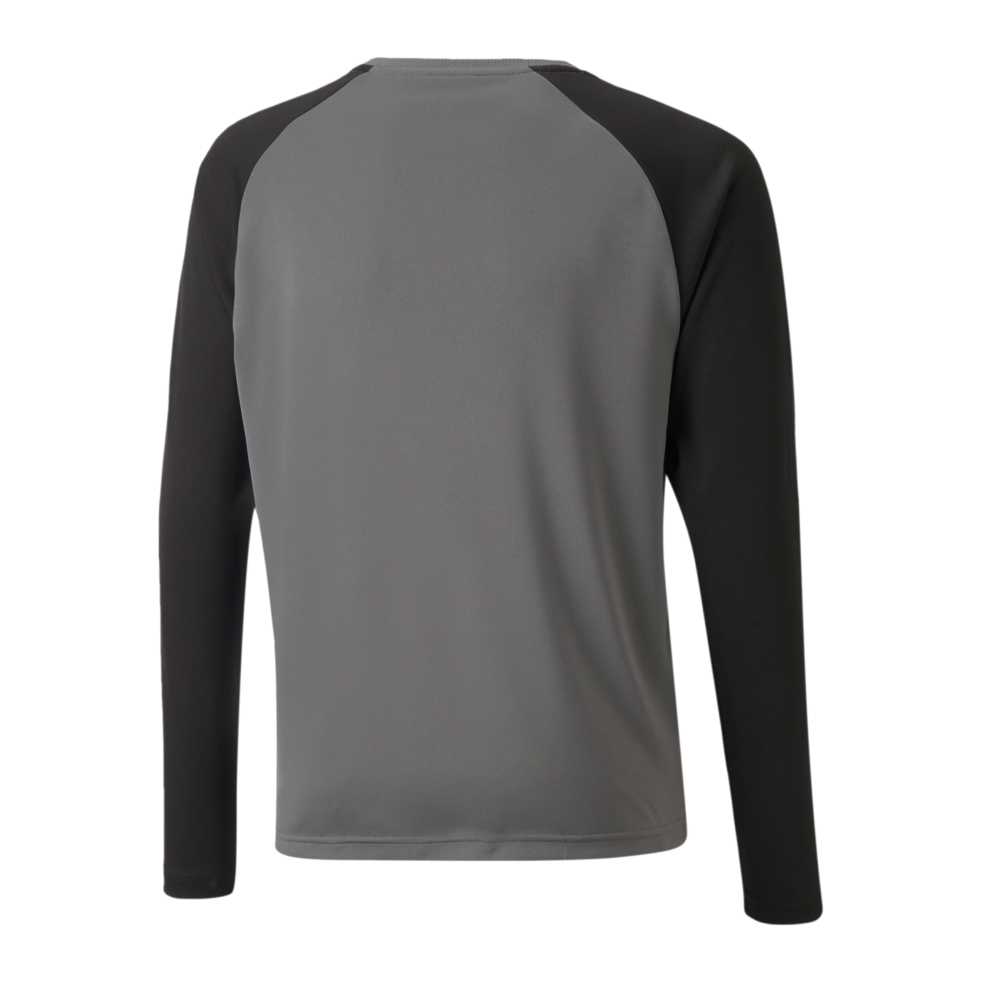 PUMA teamPACER Torwarttrikot langarm Kids F43