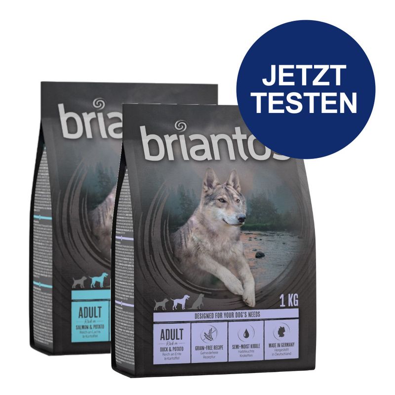 Probierpaket Briantos getreidefrei 2 x 1 kg