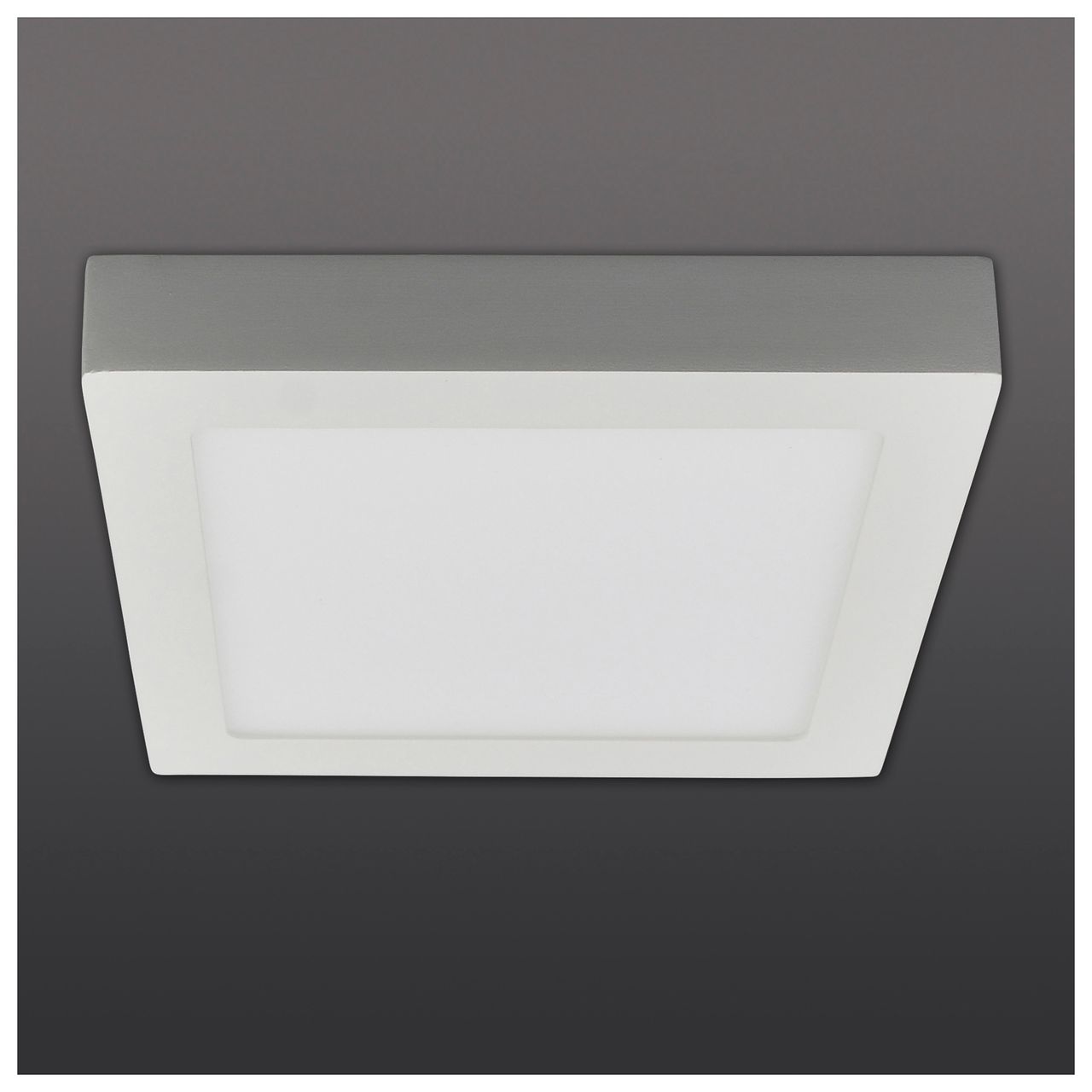 Näve Leuchten LED Deckenleuchte 