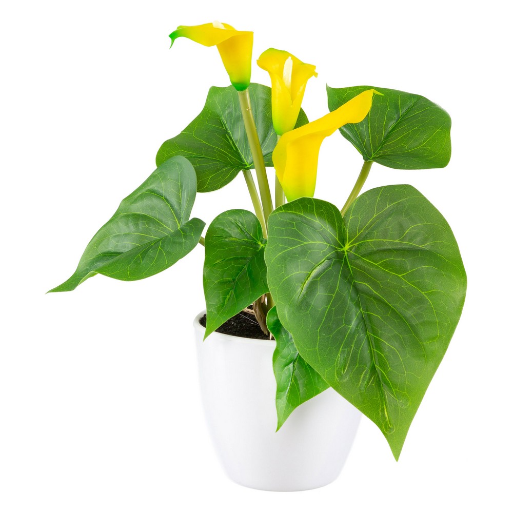 Bella Casa Mini-Deko-Calla - Gelb