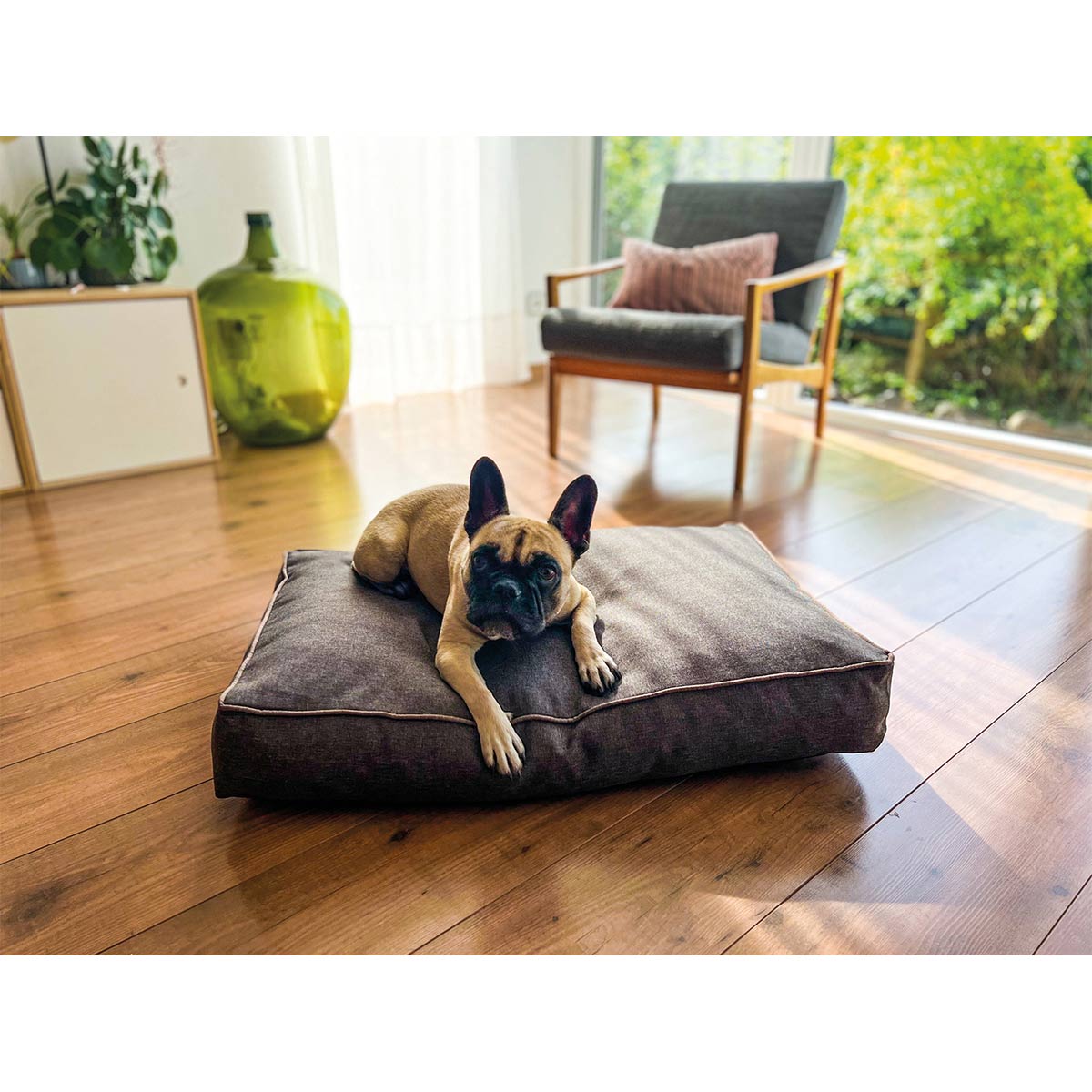 Aumüller Hundebett Basic Line Braun günstig kaufen bei ZooRoyal