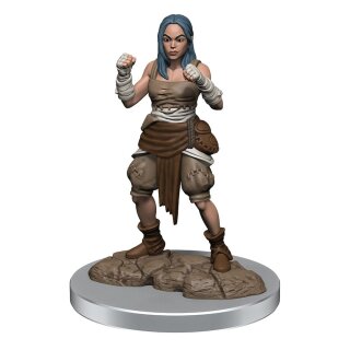 Pathfinder Battles Deep Cuts Miniaturen: Half-Elf Monk Female (unpainted) (2)