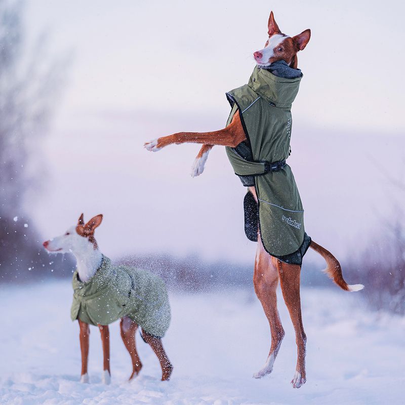 Rukka Warmup Hundemantel, oliv zu TOP-Preisen
