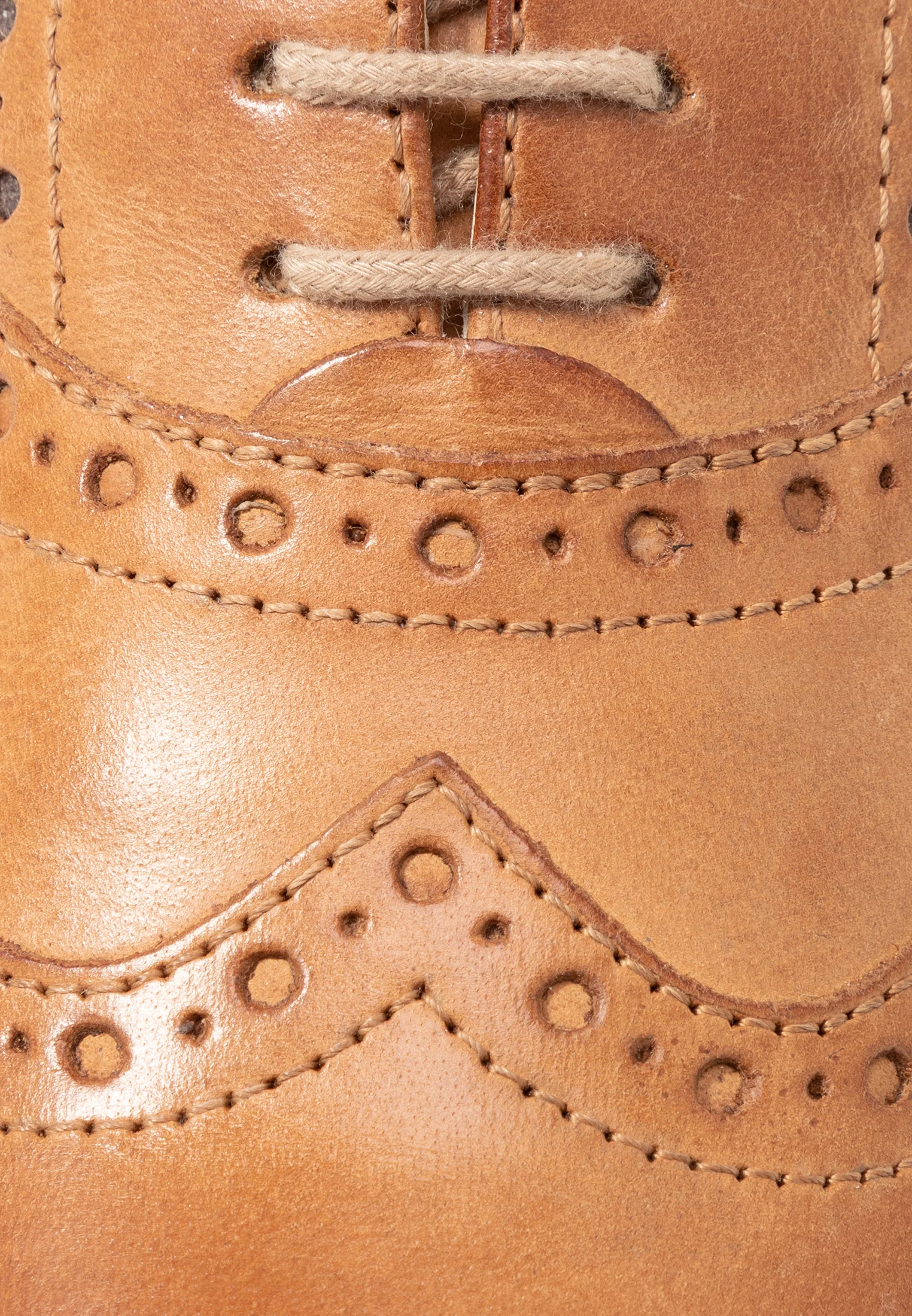 Anna Field LEATHER - Zapatos deportivos con cordones