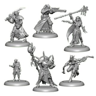 Iron Kingdoms Roleplaying Game – Shadow of the Seeker Miniatures Set (EN)
