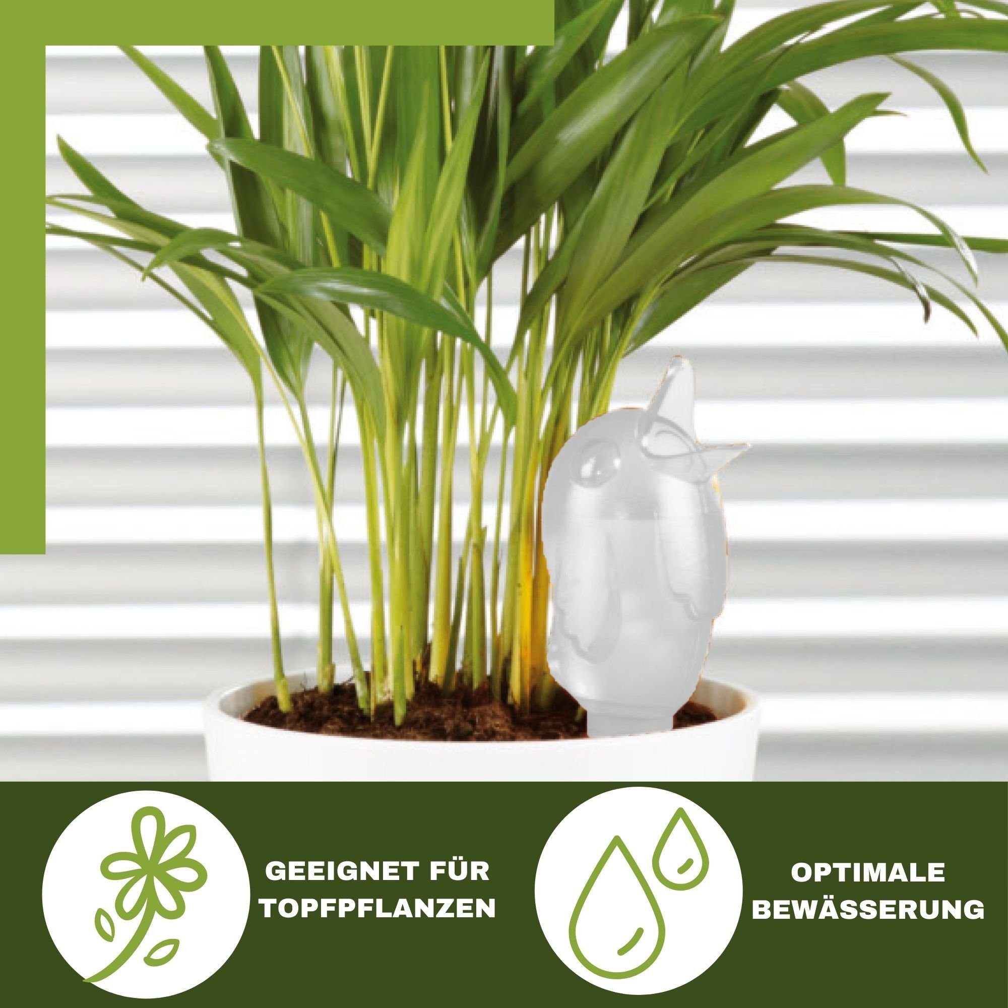 Scheurich Bewässerungssystem -, (Spar-Set, 2-tlg), Scheurich Wasserspender Bördy S 90 ml