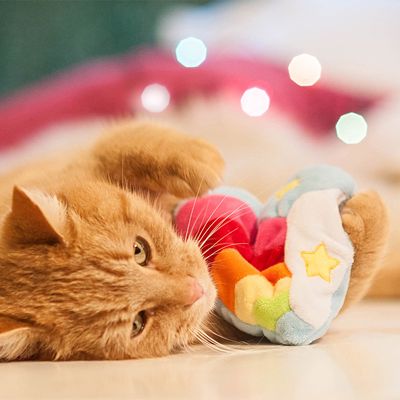 Aumüller Katzenspielzeug Regenbogenherz