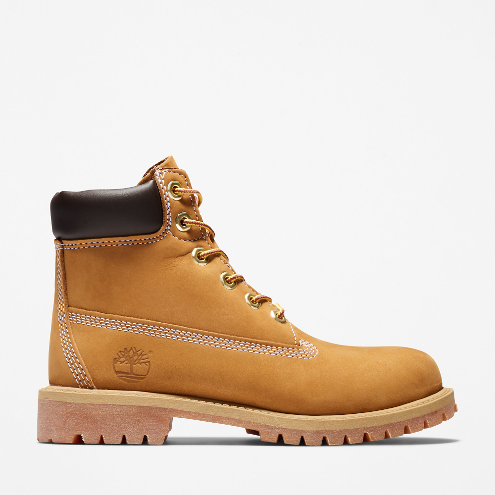 Timberland 6 Inch Premium Junior Boot TB0129097131 / braun