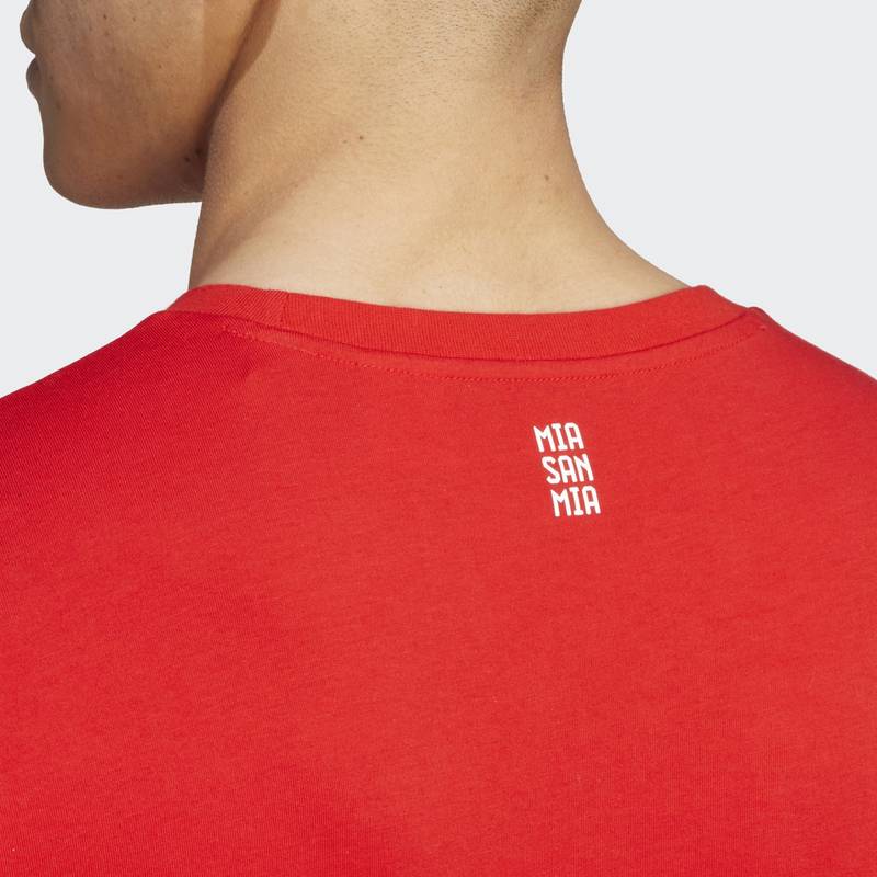 adidas FC Bayern München DNA Graphic T-Shirt T-Shirt Herren