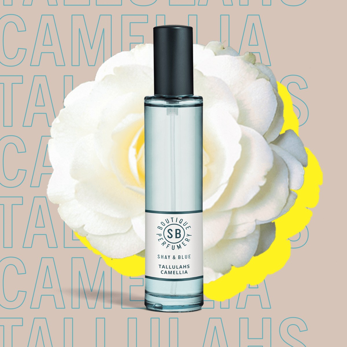 Tallulah's Camellia
