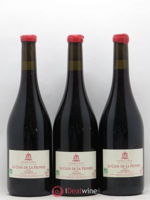 Touraine Clos de la Peuvrie De Nouel 2016 - Lot de 3 Bouteilles