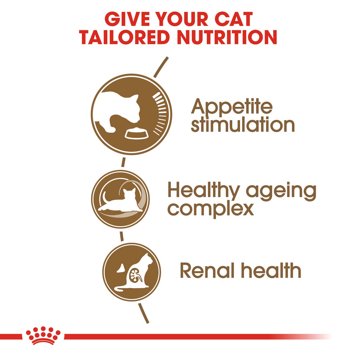 ROYAL CANIN AGEING 12+ Trockenfutter 4kg + Nassfutter 12x85g