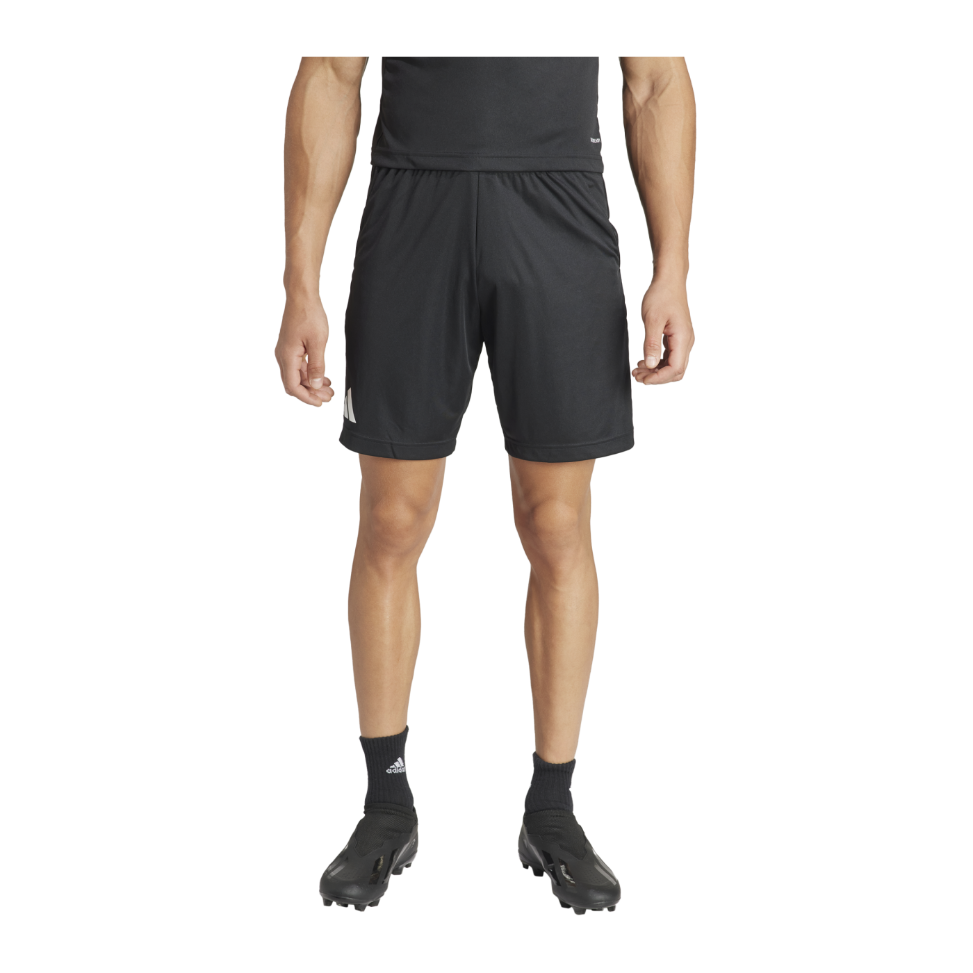 adidas Referee 24 Schiedsrichtershort Schwarz