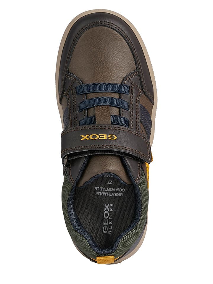 Geox Sneakers in Braun günstig kaufen 28