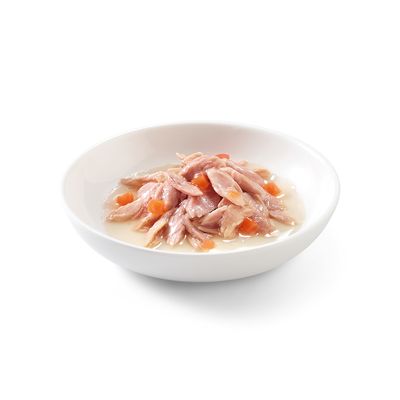Sparpaket Schesir in Brühe 24 x 70 g
