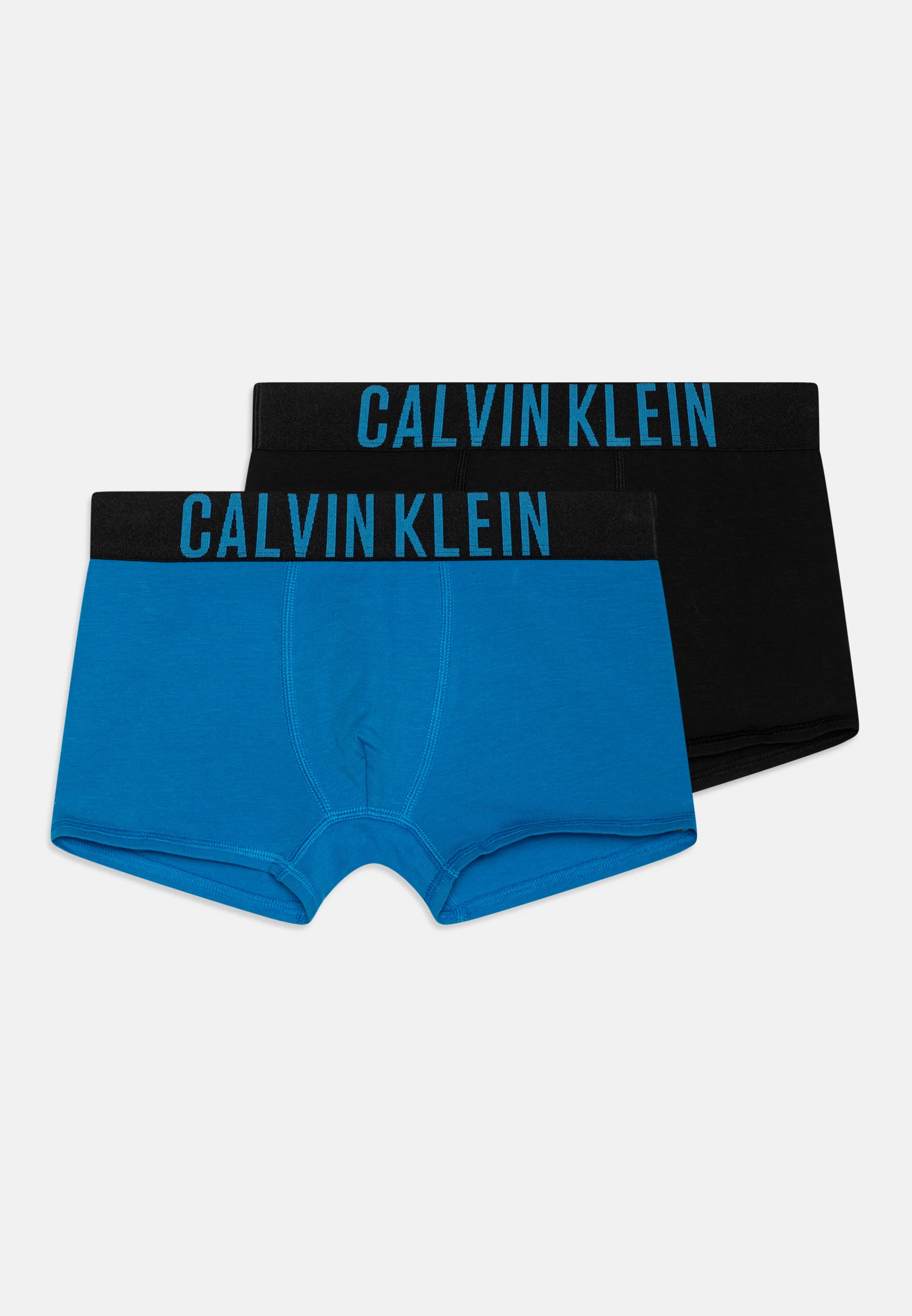 Calvin Klein Underwear TRUNK PACK DE 2 - Culotte