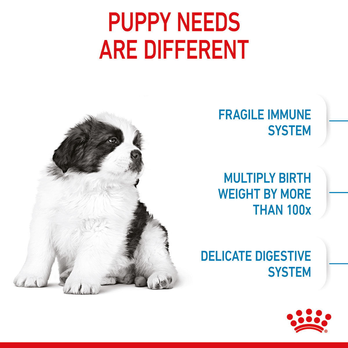 ROYAL CANIN GIANT Puppy Trockenfutter für Welpen sehr großer Rassen