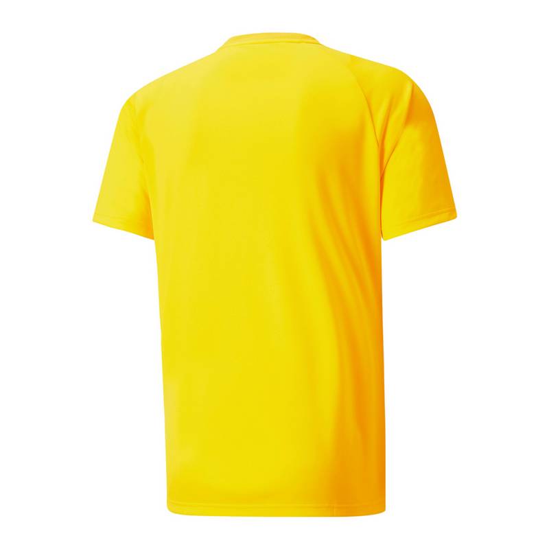 PUMA teamVISION Trikot Trikot Herren