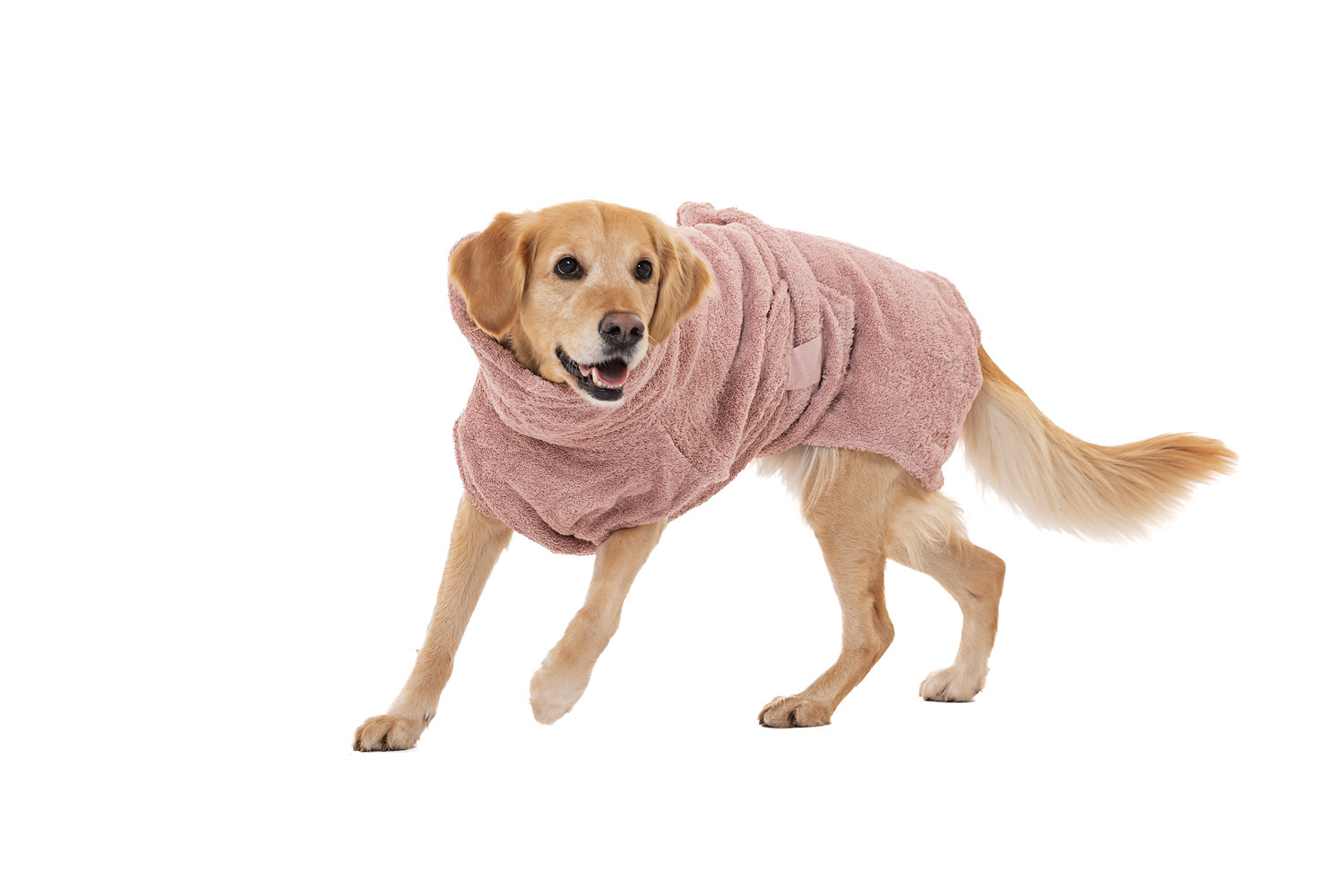 Lills Hundemäntel Lills Lill's Hundebademantel 