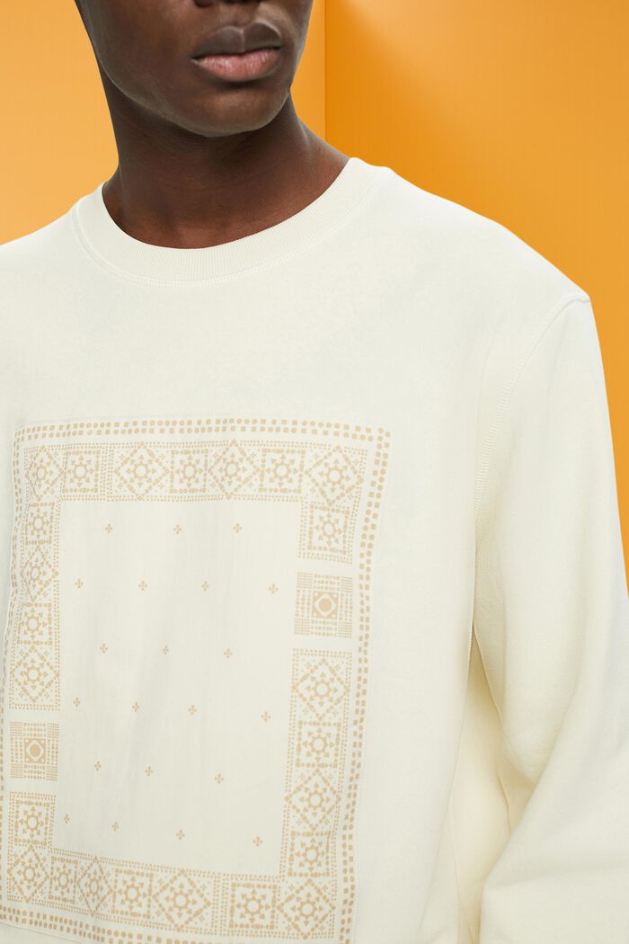 Sweatshirt mit Frontprint