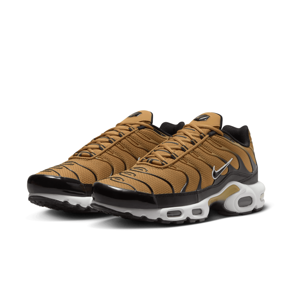 Nike Air Max Plus DM0032-700 / braun