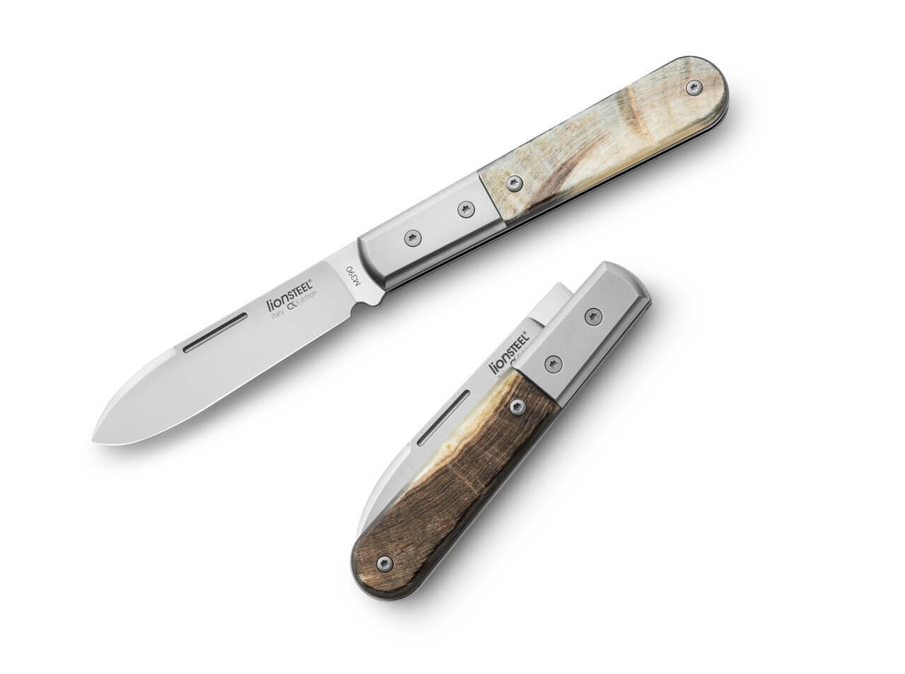 Roundhead Barlow Ram Horn