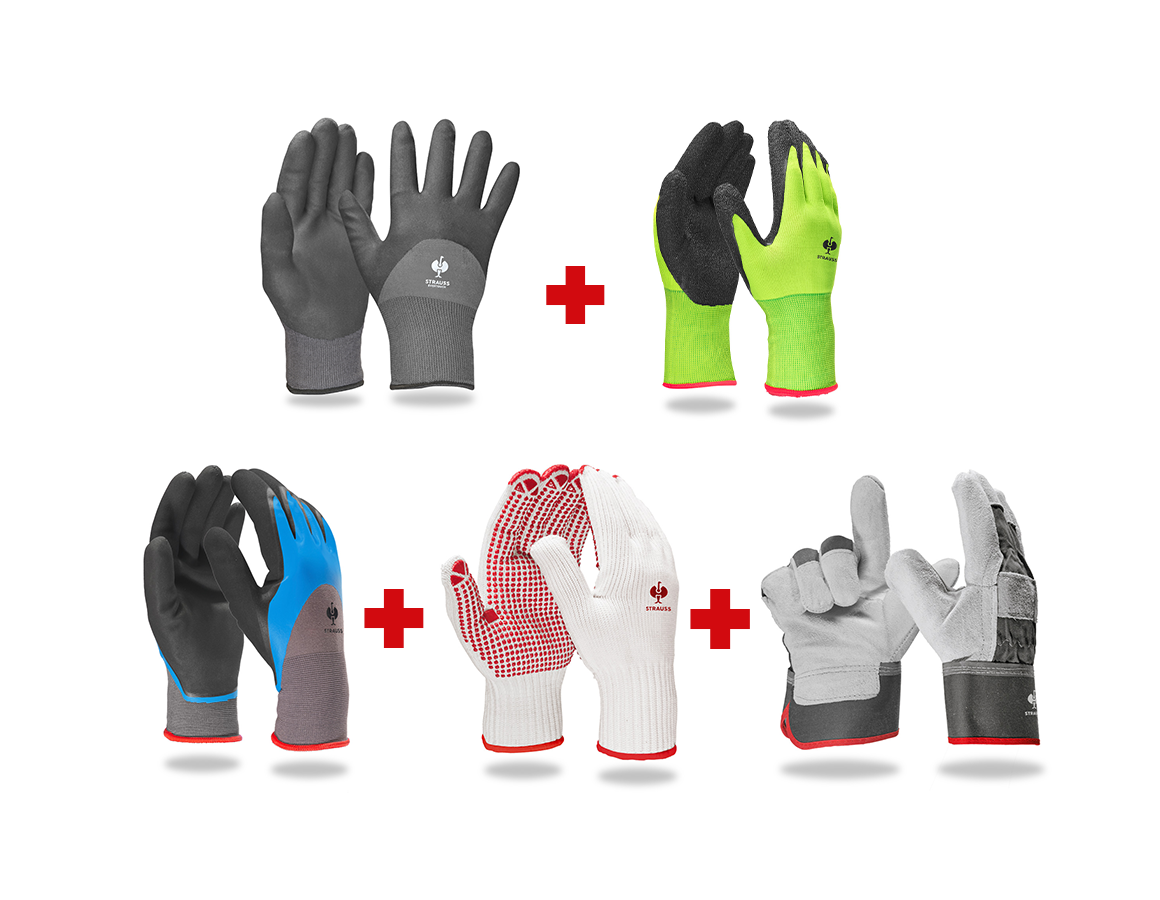 Handschuh-Profi-Set Garten II