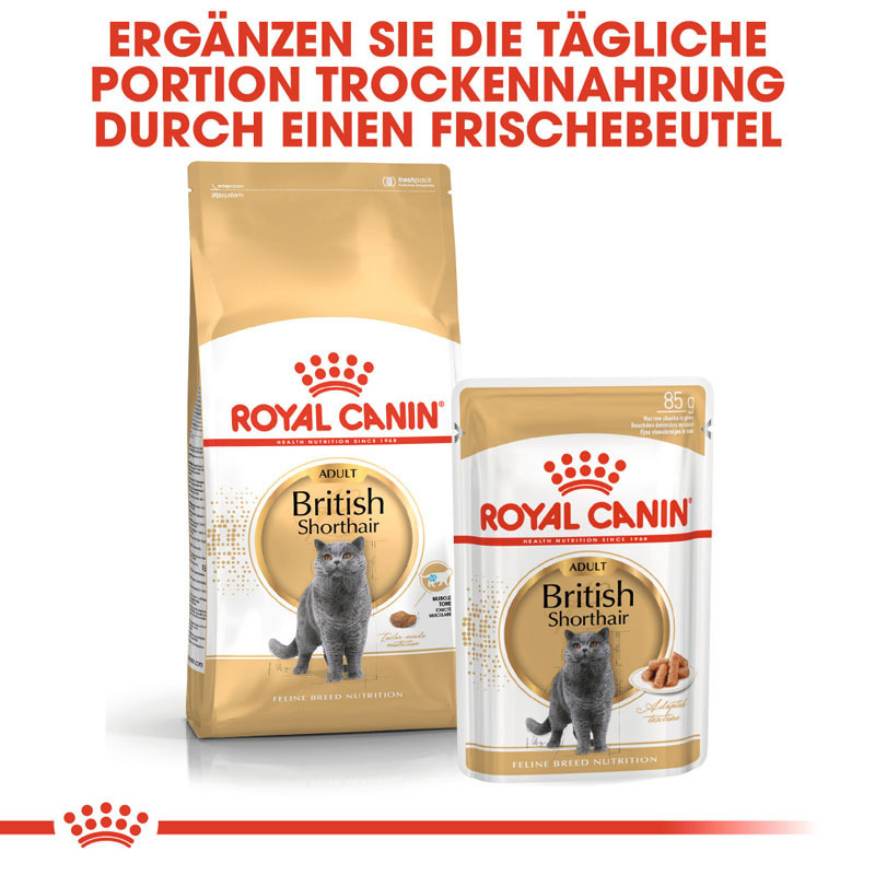 ROYAL CANIN Trockenfutter ROYAL CANIN British Shorthair Adult 2x10 kg