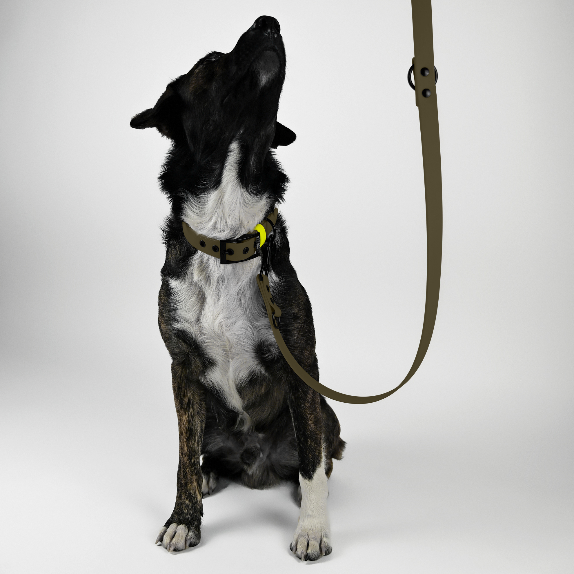 THE DOG IDEA Hundeleinen THE DOG IDEA Biothane Hundeleine Khaki khaki