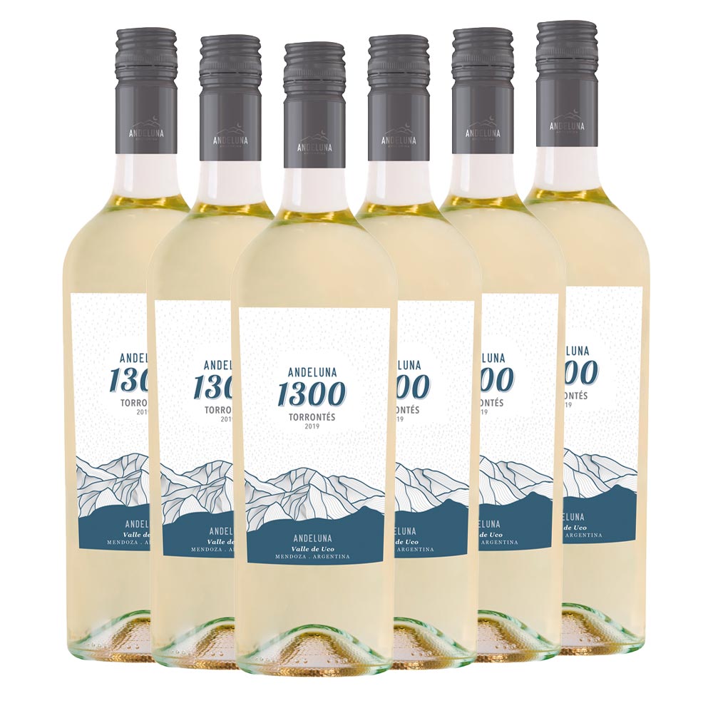 Andeluna Cellars SRL Torrontés Andeluna 1300 - 6er Karton