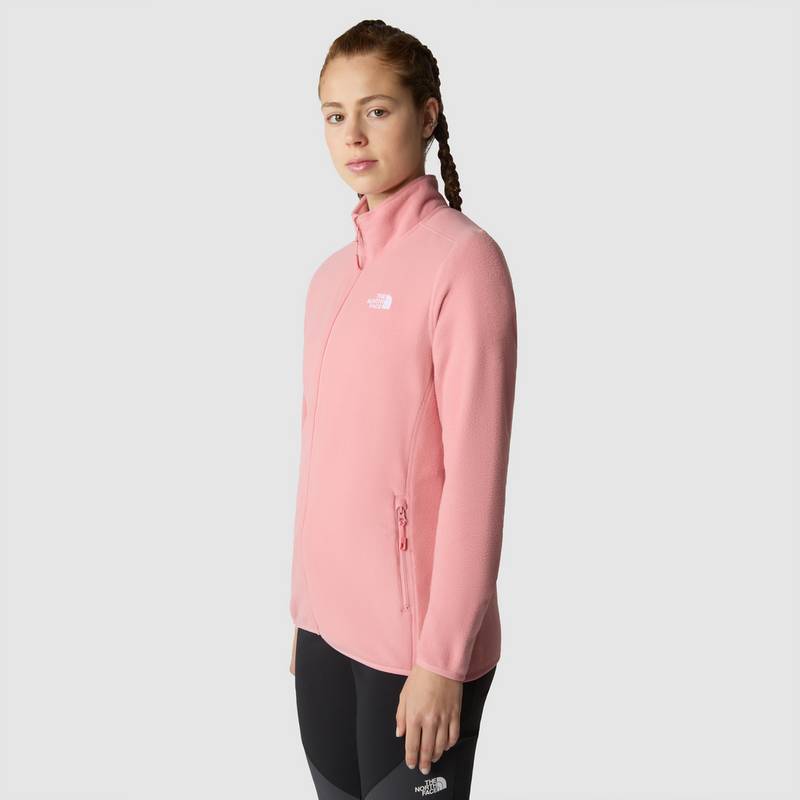 The North Face 100 GLACIER Fleecejacke Damen