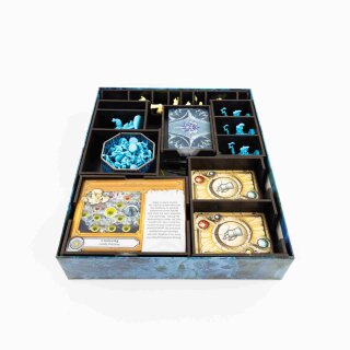 Black Organizer Pandemic World of Warcraft