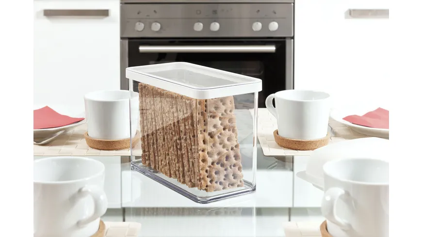 rotho Premium Vorratsdose rechteckig LOFT 21l