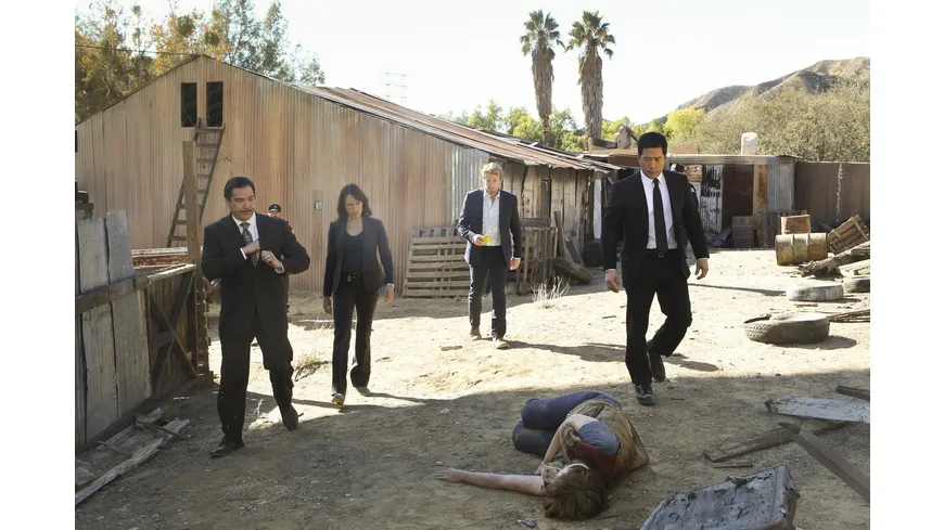 The Mentalist - Staffel 6  [5 DVDs]