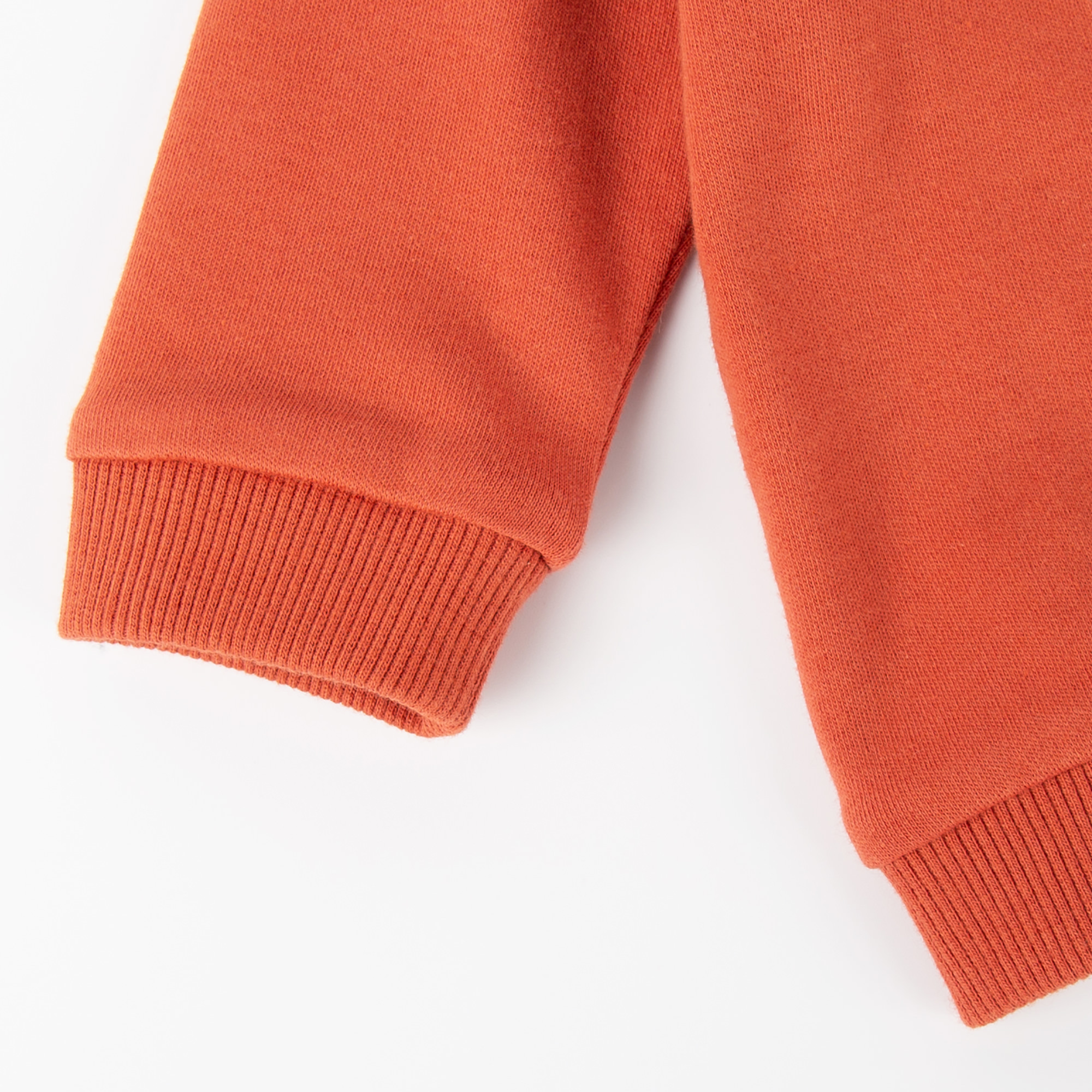 Baby Langarmshirt mit Eisbär Motiv, orange