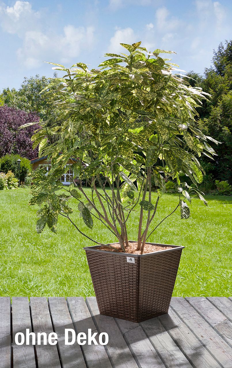 Weles Pflanzkübel aus Polyrattan 2er Set 41,5 x 41,5 x 38 cm, bicolour braun